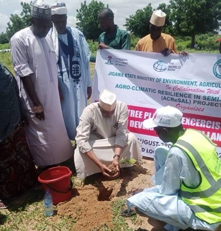 VC Launches 40,000 Tree Planting Exercise at Babura